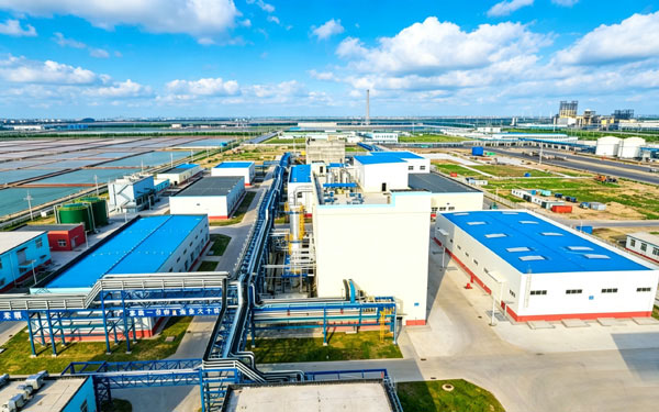山东九重化工有限公司